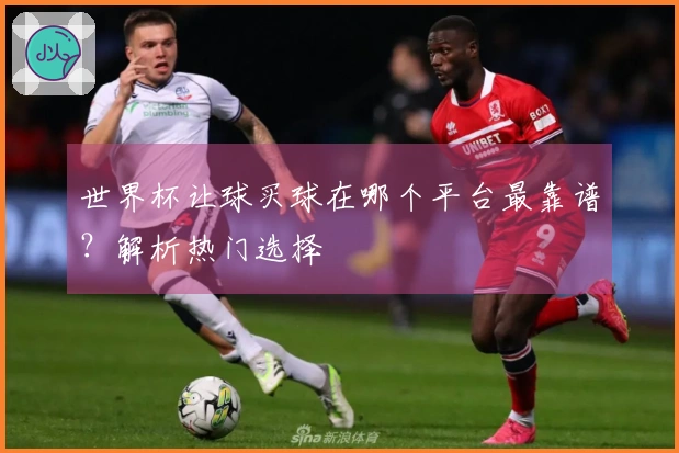 世界杯让球买球在哪个平台最靠谱？解析热门选择
