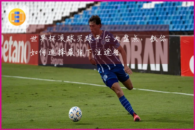 世界杯滚球买球平台大盘点，教你如何选择最佳下注途径
