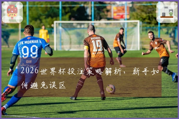 2026世界杯投注策略解析，新手如何避免误区