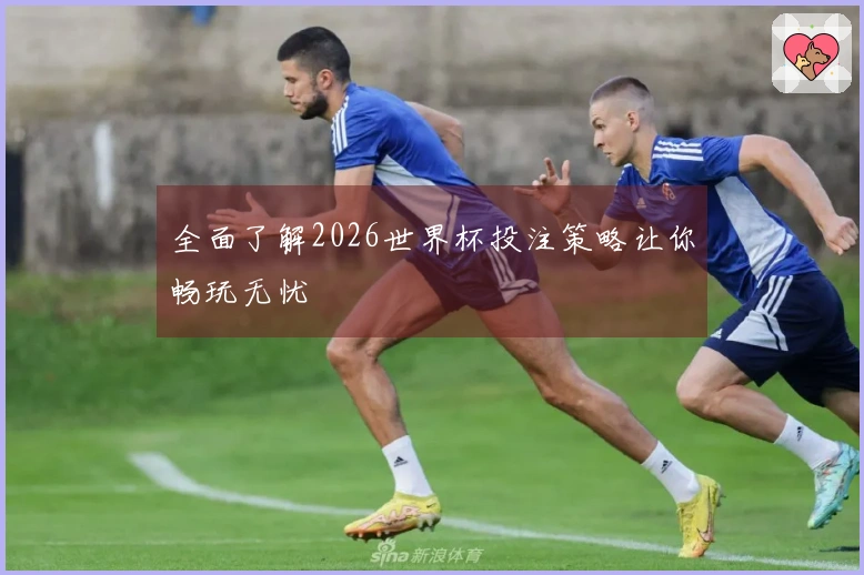 全面了解2026世界杯投注策略让你畅玩无忧