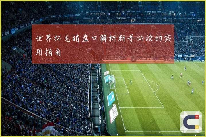 世界杯竞猜盘口解析新手必读的实用指南