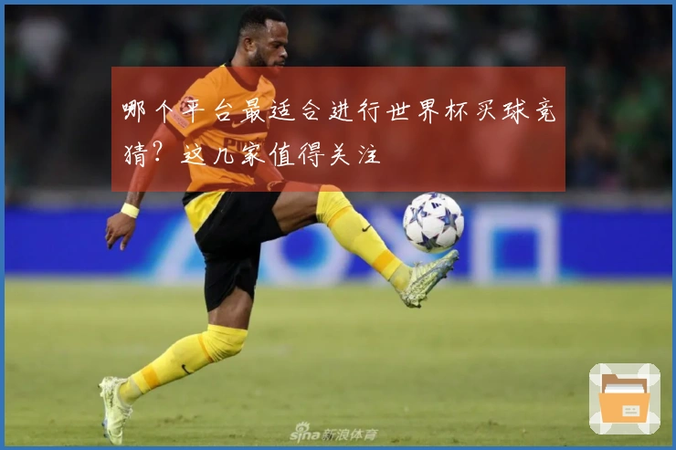 哪个平台最适合进行世界杯买球竞猜？这几家值得关注