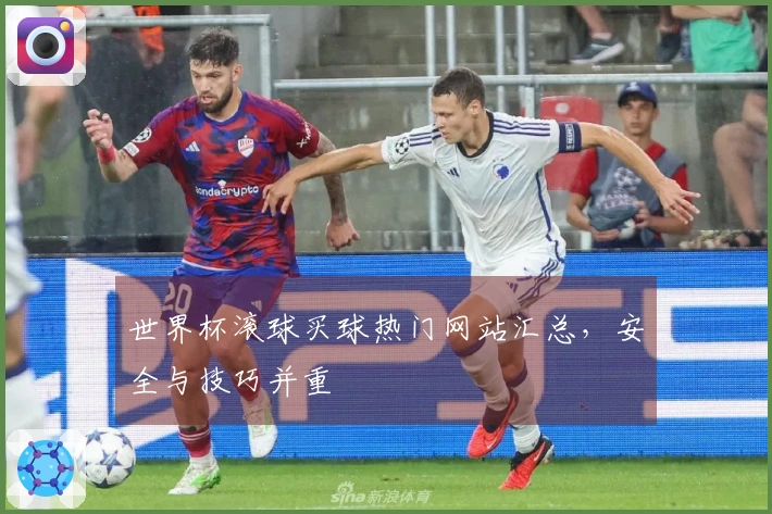 世界杯滚球买球热门网站汇总，安全与技巧并重