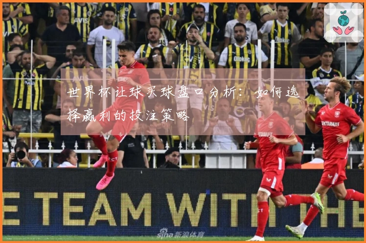 世界杯让球买球盘口分析：如何选择赢利的投注策略