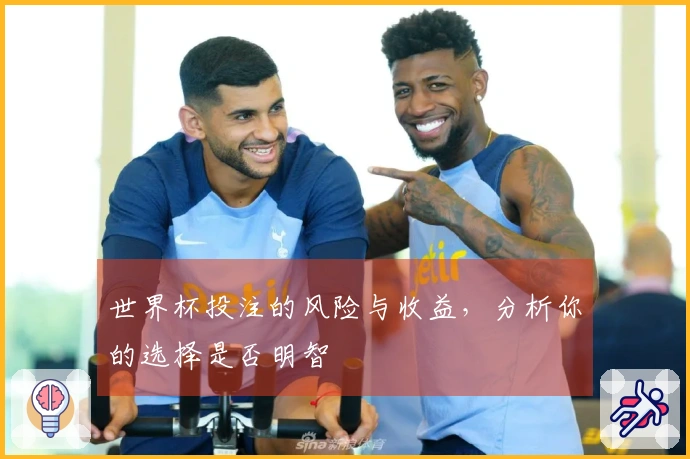 世界杯投注的风险与收益，分析你的选择是否明智