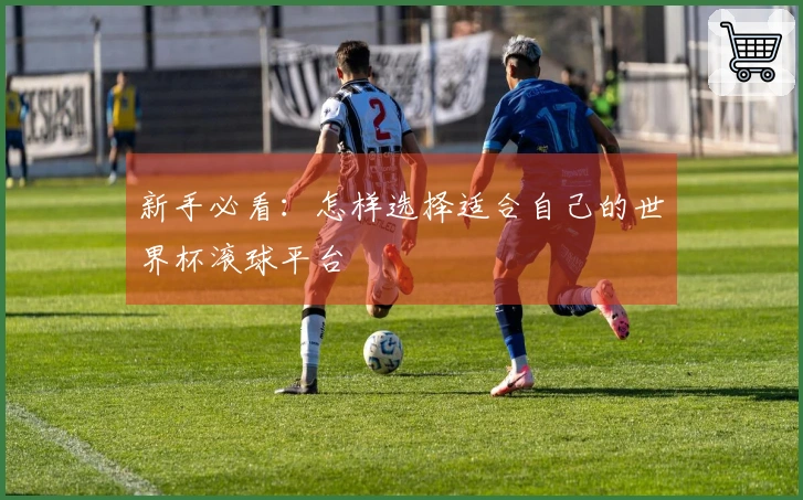 新手必看：怎样选择适合自己的世界杯滚球平台