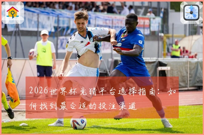 2026世界杯竞猜平台选择指南：如何找到最合适的投注渠道