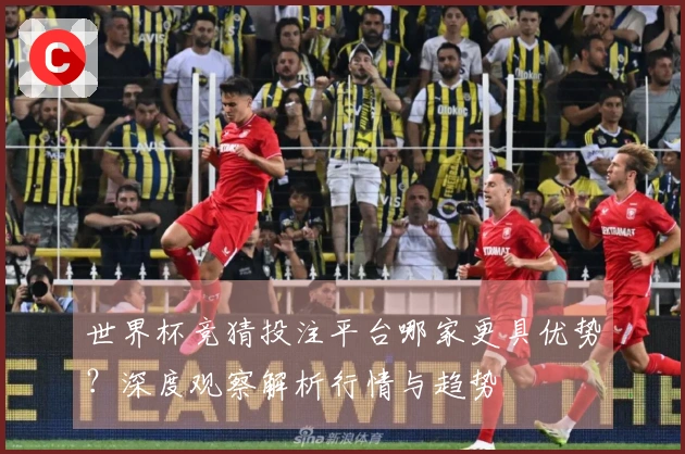 世界杯竞猜投注平台哪家更具优势？深度观察解析行情与趋势