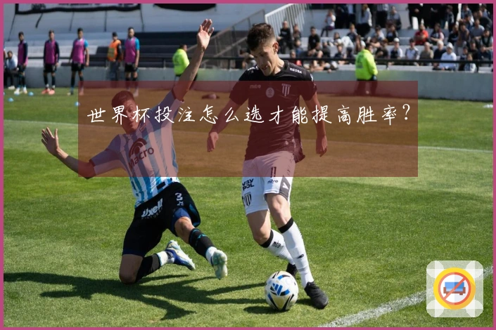 世界杯投注怎么选才能提高胜率？