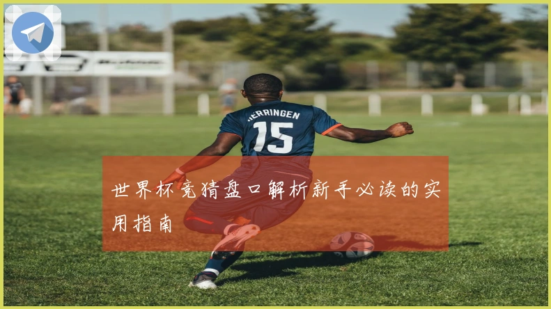 世界杯竞猜盘口解析新手必读的实用指南