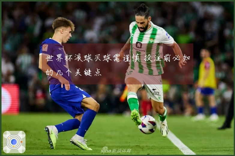 世界杯滚球买球需谨慎 投注前必知的几个关键点