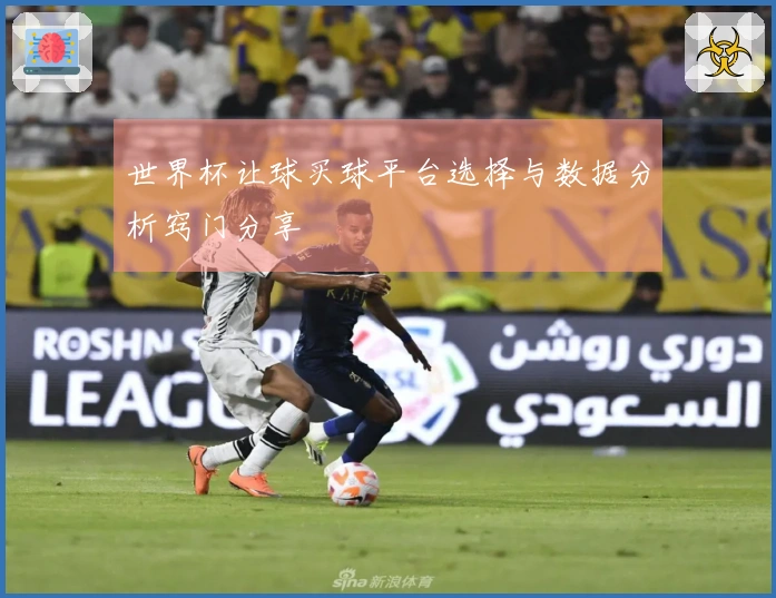 世界杯让球买球平台选择与数据分析窍门分享