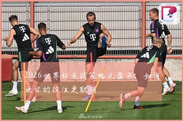 2026世界杯竞猜策略大盘点：如何让你的投注更聪明