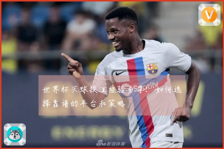 世界杯买球投注经验分享：如何选择靠谱的平台和策略
