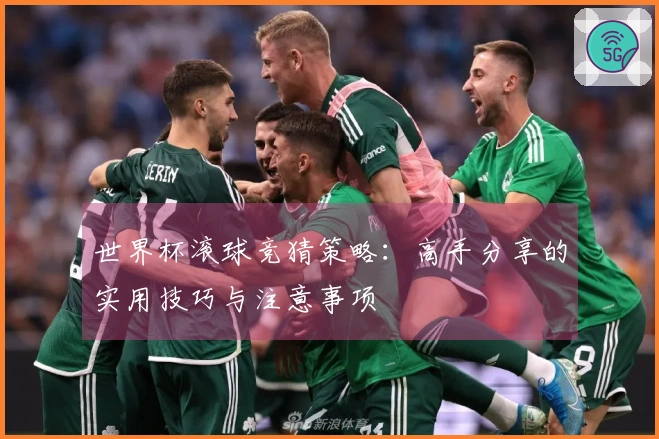 世界杯滚球竞猜策略：高手分享的实用技巧与注意事项