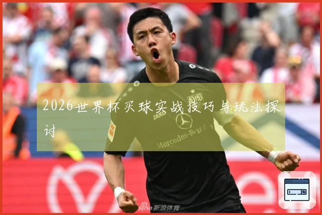 2026世界杯买球实战技巧与玩法探讨