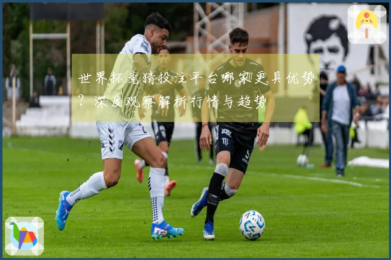 世界杯竞猜投注平台哪家更具优势？深度观察解析行情与趋势
