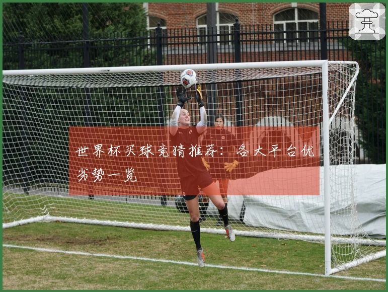 世界杯买球竞猜推荐：各大平台优劣势一览