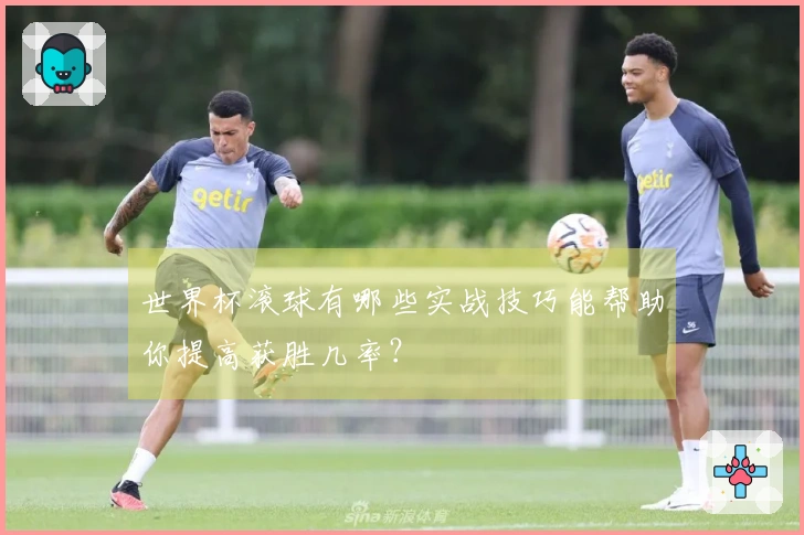 世界杯滚球有哪些实战技巧能帮助你提高获胜几率？
