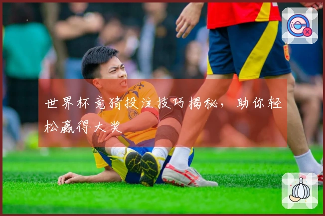 世界杯竞猜投注技巧揭秘，助你轻松赢得大奖