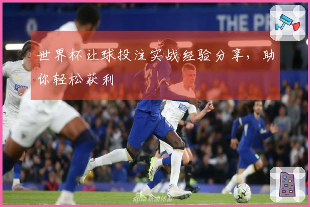 世界杯让球投注实战经验分享，助你轻松获利