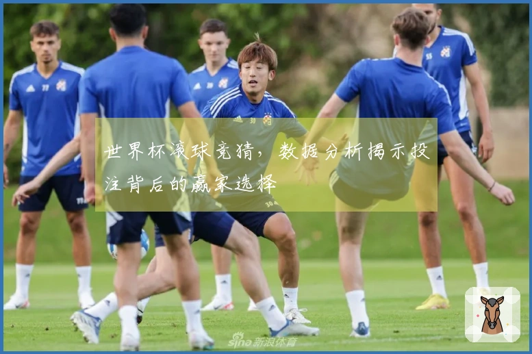 世界杯滚球竞猜，数据分析揭示投注背后的赢家选择