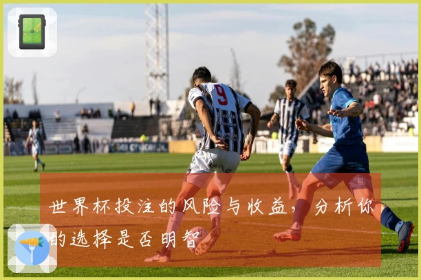 世界杯投注的风险与收益，分析你的选择是否明智