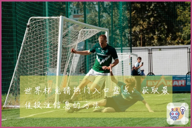 世界杯竞猜热门入口盘点，获取最佳投注信息的方法
