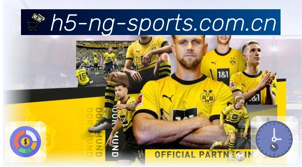 NG体育APP 高清赛事图